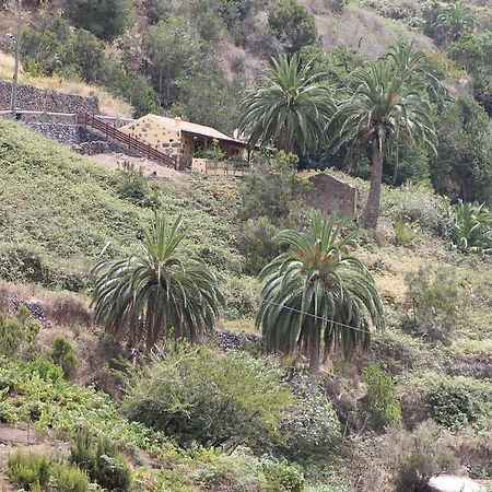 Casa Rural El Rincon De Antonia Agulo Eksteriør billede