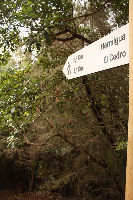 Casa Rural El Rincon De Antonia Agulo Eksteriør billede