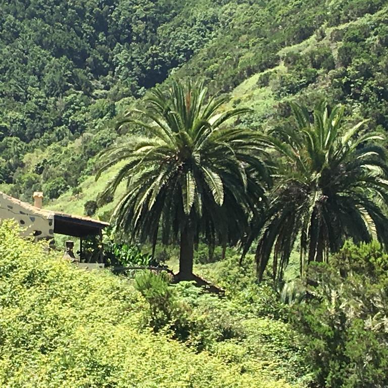 Casa Rural El Rincon De Antonia Agulo Eksteriør billede