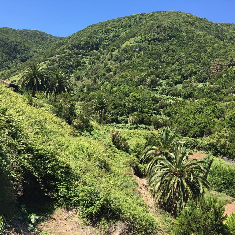 Casa Rural El Rincon De Antonia Agulo Eksteriør billede