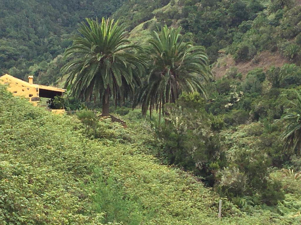 Casa Rural El Rincon De Antonia Agulo Eksteriør billede