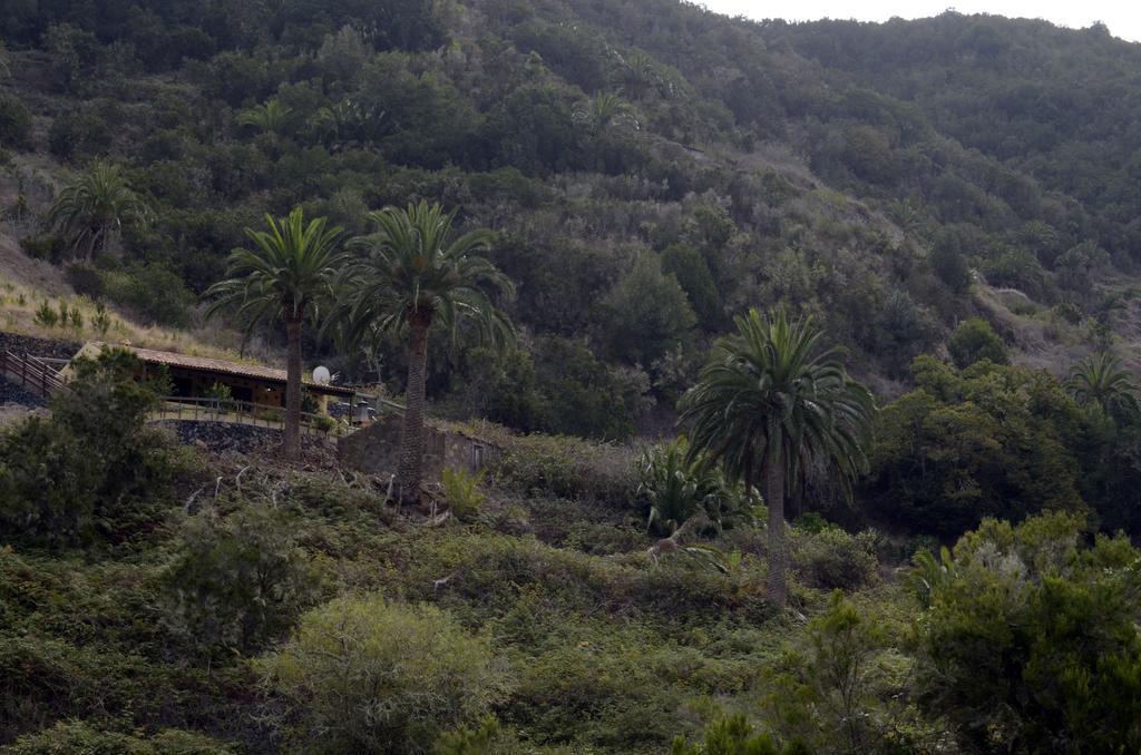 Casa Rural El Rincon De Antonia Agulo Eksteriør billede