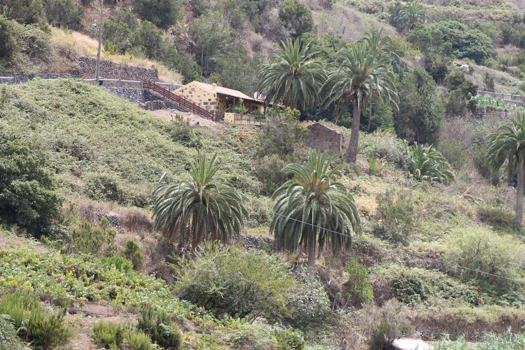 Casa Rural El Rincon De Antonia Agulo Eksteriør billede